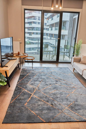 Hare Premium Modern Shiny Textured Area Rug 1311