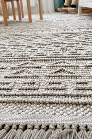 Havana Scandinavian and Embossed Patterned Fringed Area Rug 8581