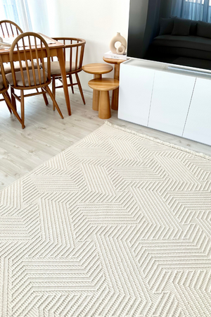 Havana Scandinavian and Embossed Patterned Fringed Area Rug 8591