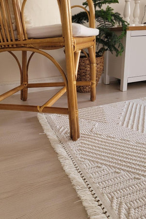 Havana Scandinavian and Embossed Patterned Fringed Area Rug 8591