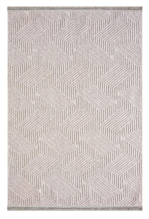 Havana Scandinavian and Embossed Patterned Fringed Area Rug 8592
