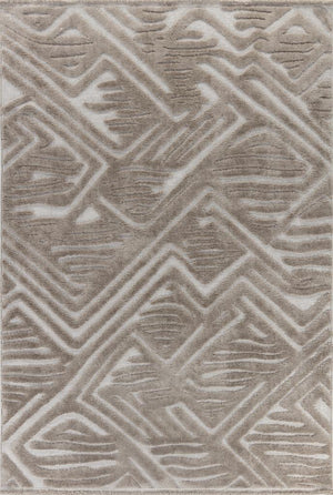 Orion Geometric and Embossed Patterned Beige Area Rug 4222