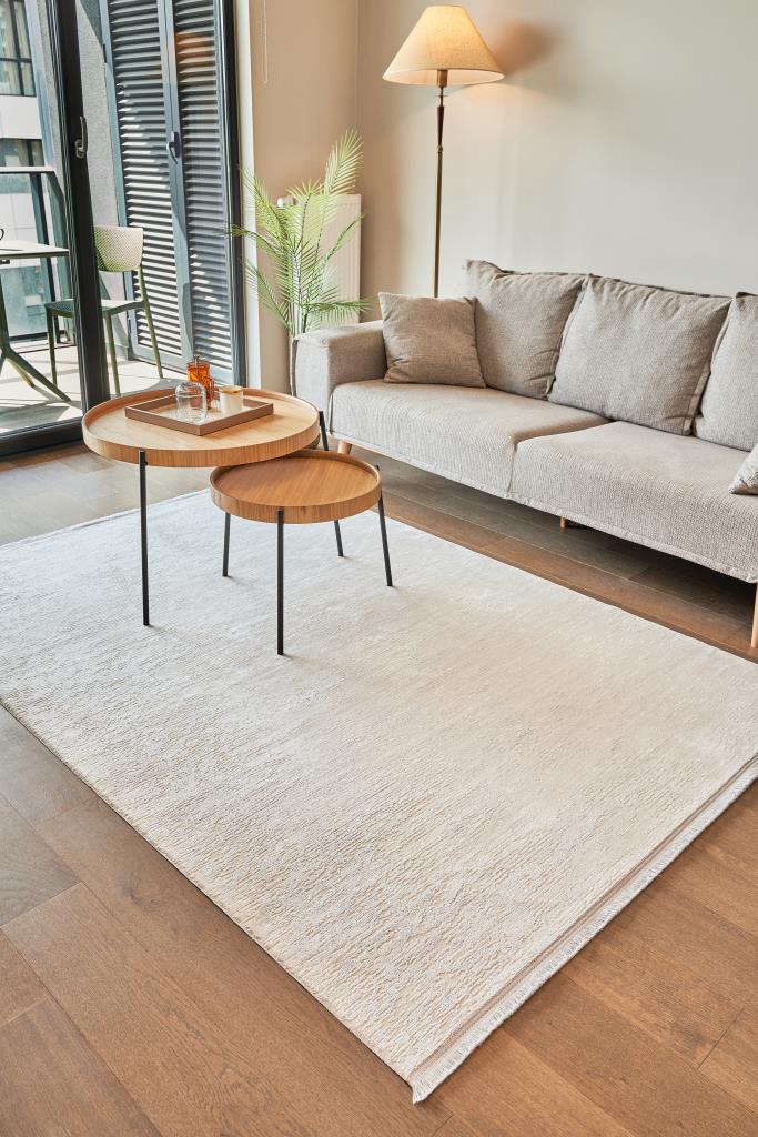 Calista Gray Viscose Woven Modern Living Room Rug 1731