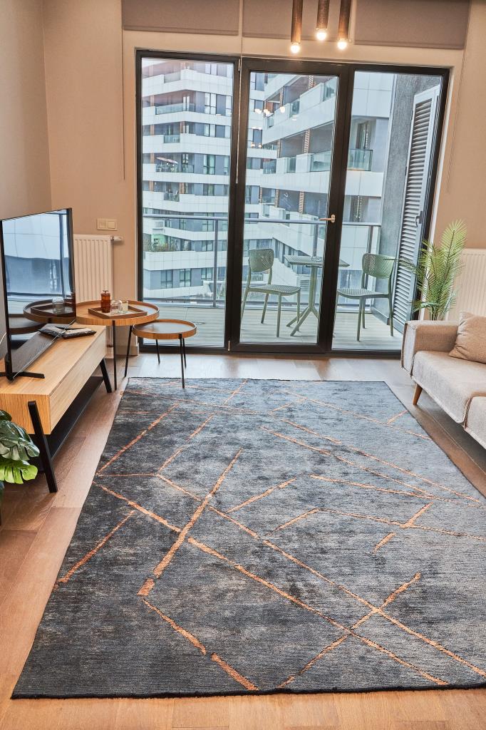 Hare Premium Modern Shiny Textured Area Rug 1311