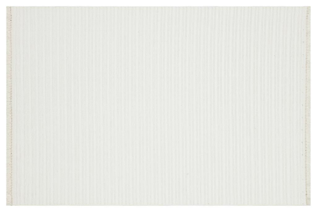 Havana Scandinavian and Embossed Patterned Fringed Area Rug 8551