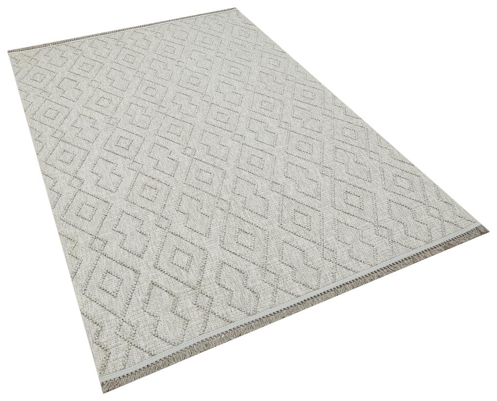 Havana Scandinavian and Embossed Patterned Fringed Area Rug 8571