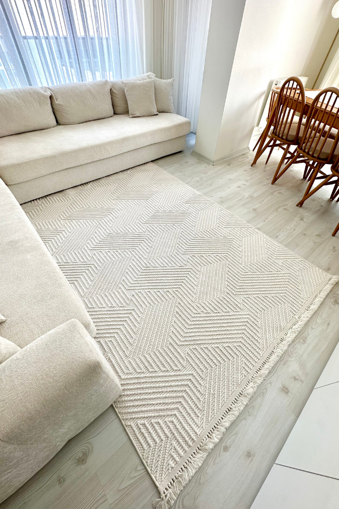 Havana Scandinavian and Embossed Patterned Fringed Area Rug 8591