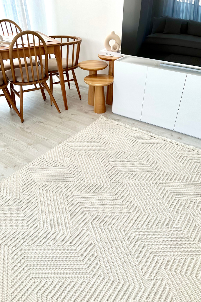 Havana Scandinavian and Embossed Patterned Fringed Area Rug 8591