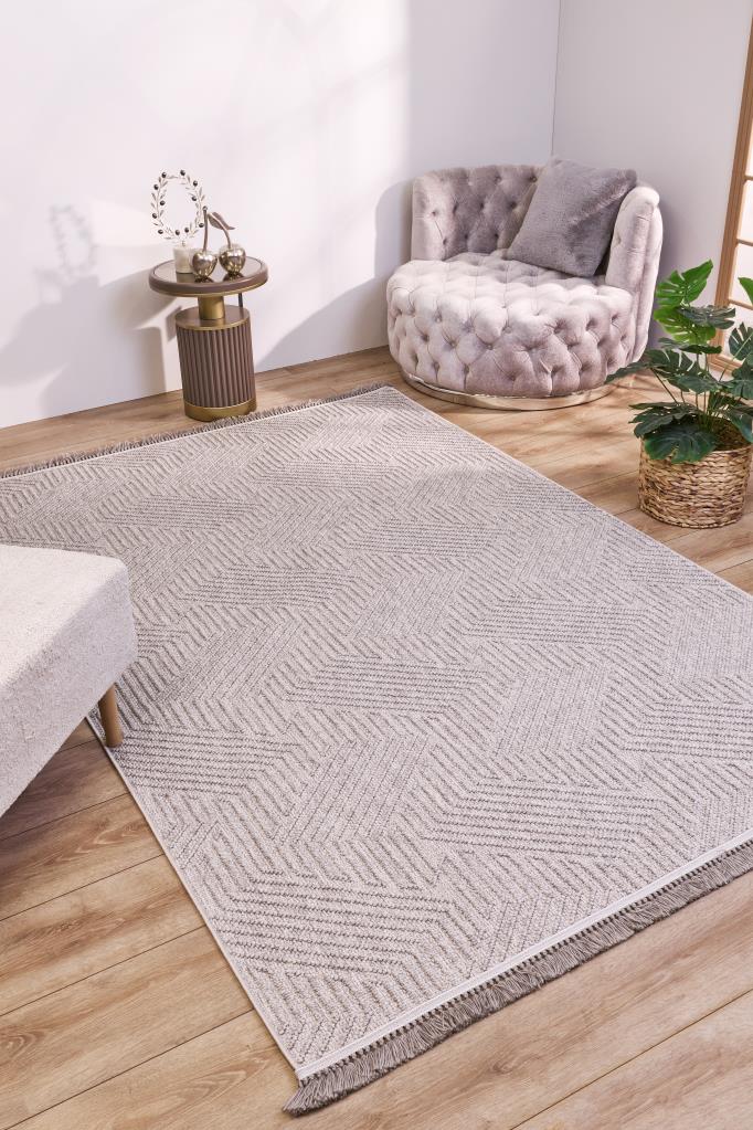 Havana Scandinavian and Embossed Patterned Fringed Area Rug 8593