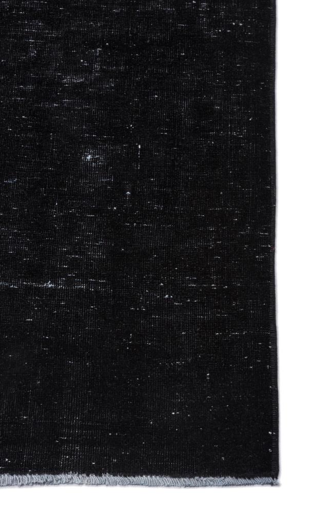 Apex Persian Black 11080 299 x 388 cm