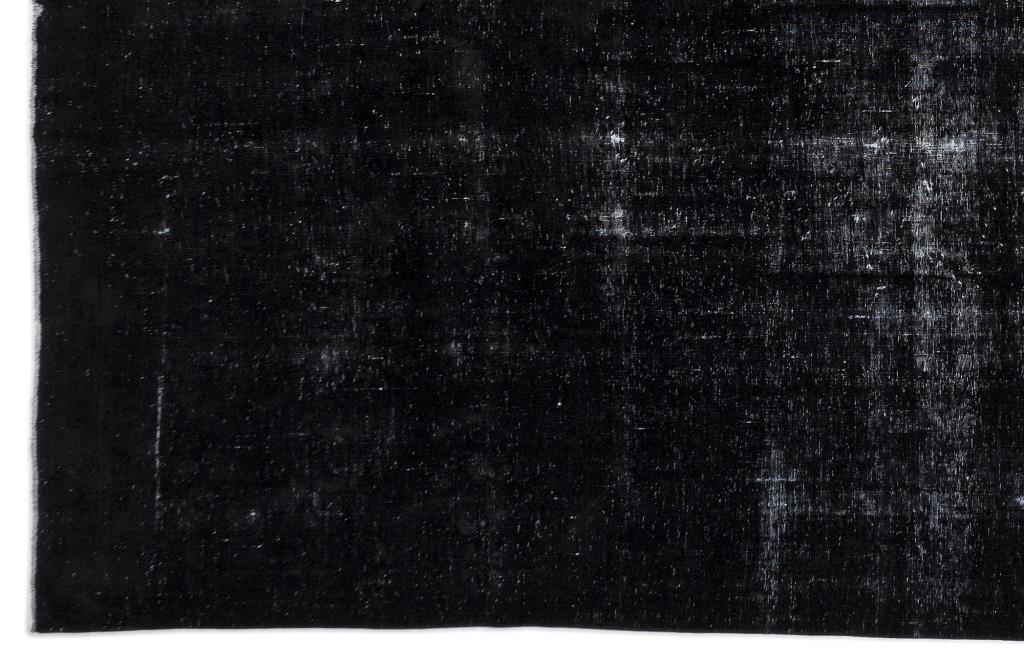Apex Persian Black 11080 299 x 388 cm