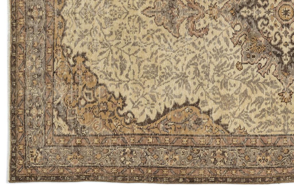 Apex Vintage Natural 10258 164 cm X 268 cm