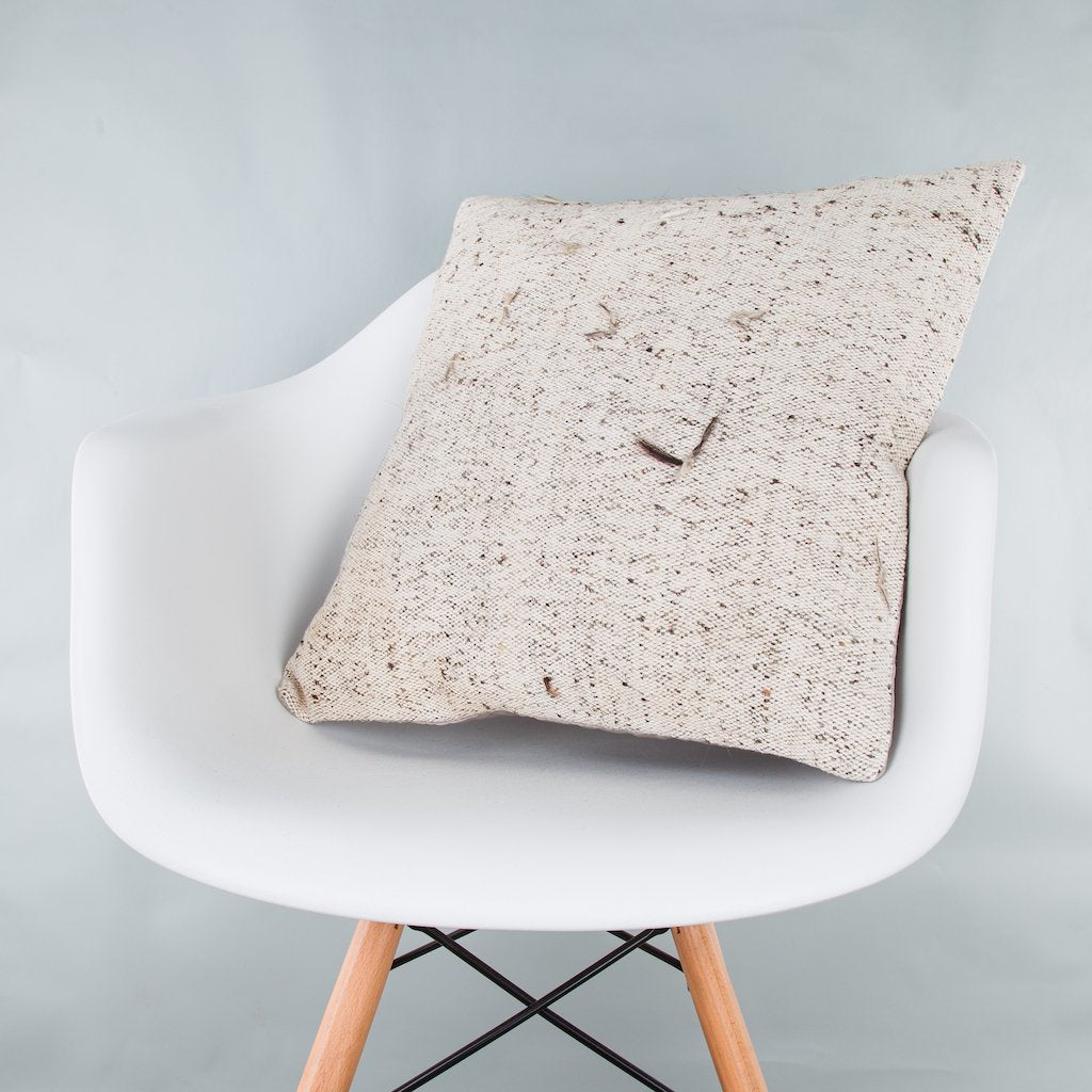 Striped_Beige_Kilim Pillow Cover_20x20_Z1002_9183